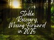 穩(wěn)健復蘇，2025向前行                                                                                                                                          